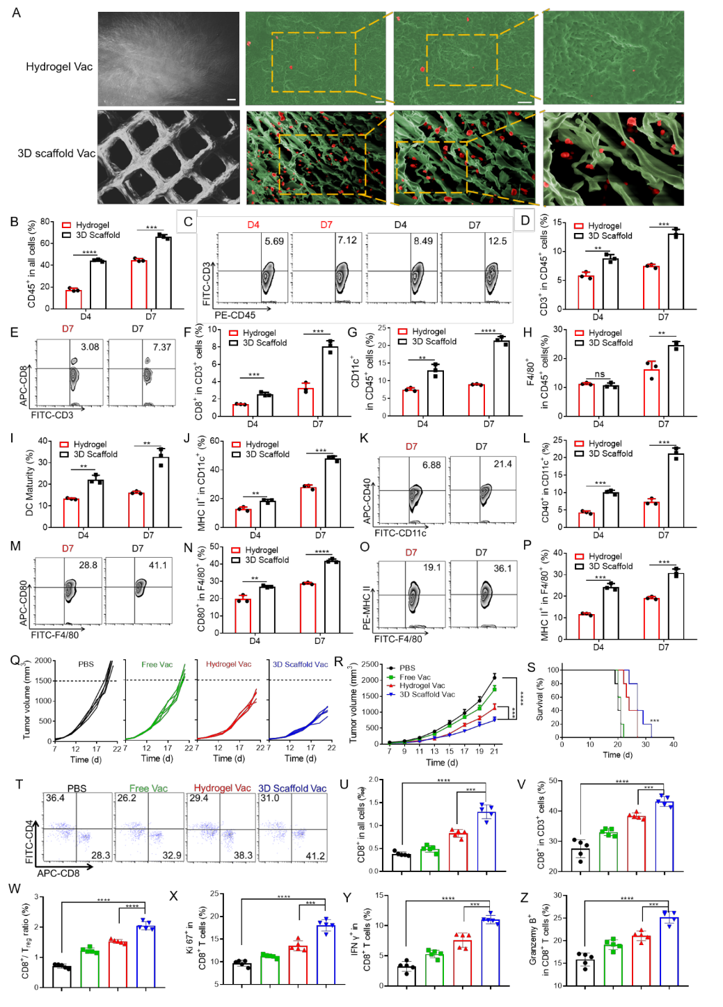 苏州大学汪超教授团队《AM》:用于肿瘤免疫治疗的3D打印支架疫苗的图5